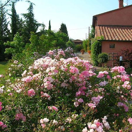 Sant'Alberto Campiglia d'Orcia ภายนอก รูปภาพ